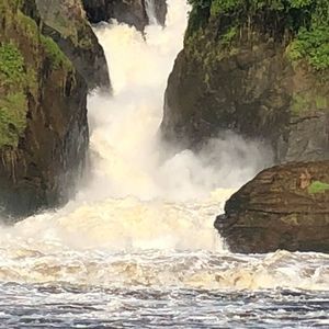 Meet your Posher, Carol